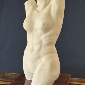 Female Torso