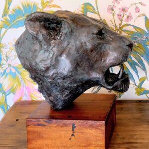 Luna the white lioness